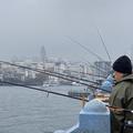 Long line of fishing rods with cty scape in background on a grey day