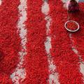 Photo from above of people laying out lines of chillies to dry in the sun