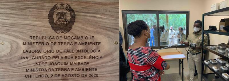 Minister of land and environment of mozambique minister of land and environment of mozambique