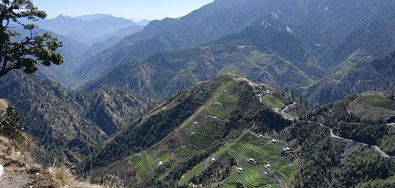 Terraced fields in Baitadi (K.P. Adhikari, 2020)