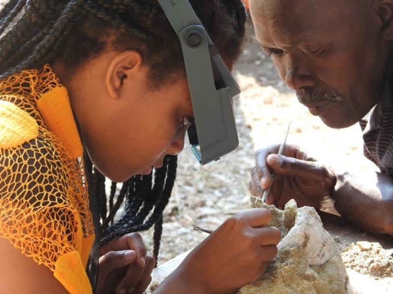 training in fossil preparation