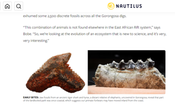 nautilus article - text and photo of jaw bones 