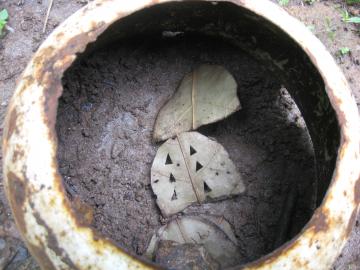 A divinatory result a divinatory result
