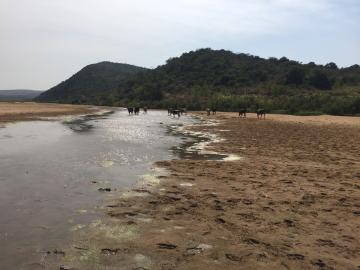 mfolozi river esiyembeni