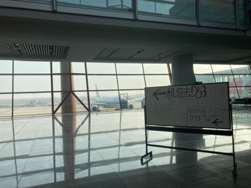 Siyu tang The entire building of Terminal 3-D of the Beijing Capital International Airport is used for channelling returnees from overseas destinations. The white board writes: AirChina staff please go to D53. (Photo by author.)