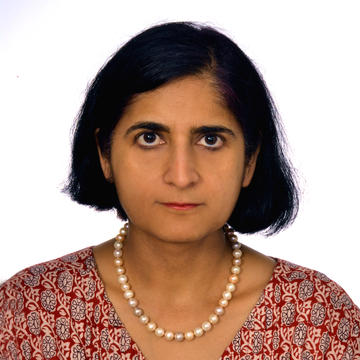 vibha joshi parkin ind