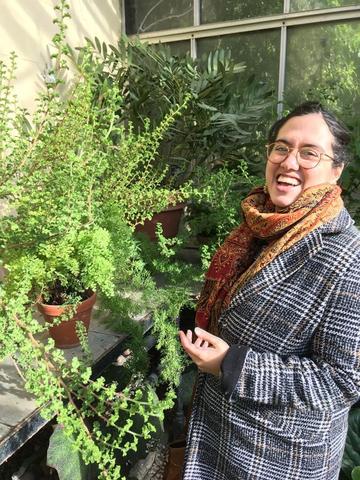yasmeen arif photo web