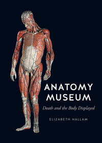 2016 anatomy museum