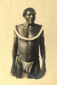 Im thurn rai collection Lonk (im Thurn 1893: 196), a “Macusi male; full face; wearing neck/chest decoration and loin cloth” (photo no. 11/618). Im Thurn Collection, The Royal Anthropological Institute