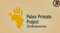 paleo primate project