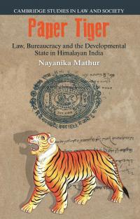 paper tiger by nayanika mathur