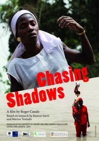 chasing shadows poster