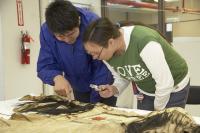 trina and josh blackfoot participants in the blackfoot shirts project examine one of the ancestral shirts at the glenbow museum calgary alberta photograph owen melenka