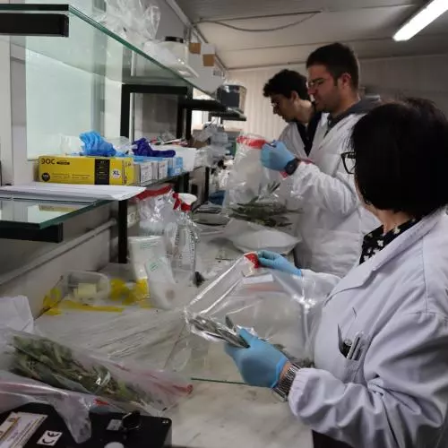 three lab workers at a bench