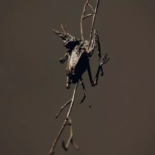 a sculpture of a decaying frog/bird