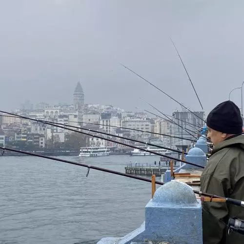 Long line of fishing rods with cty scape in background on a grey day
