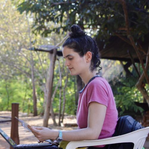clara fortes brandao web