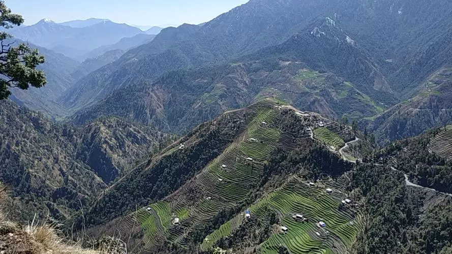 Terraced fields in Baitadi (K.P. Adhikari, 2020)