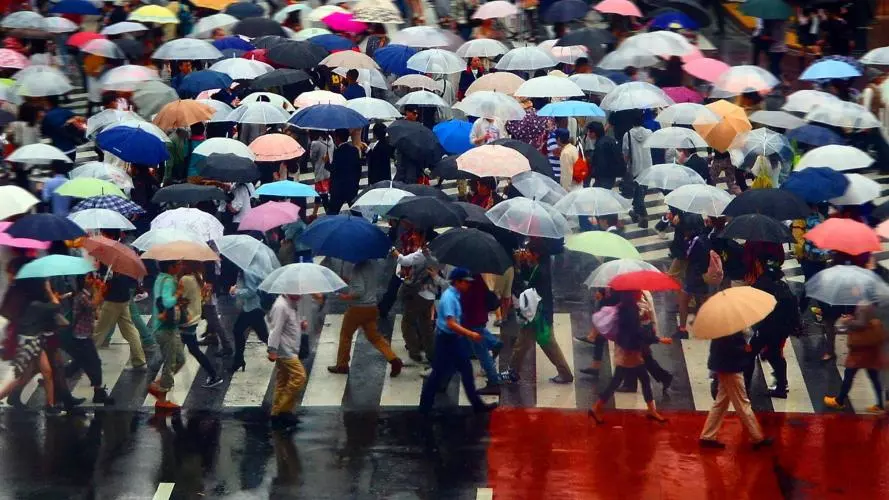 A very busy pedestrian crossing with most people carrying colourful umbrellas