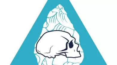 palevo logo