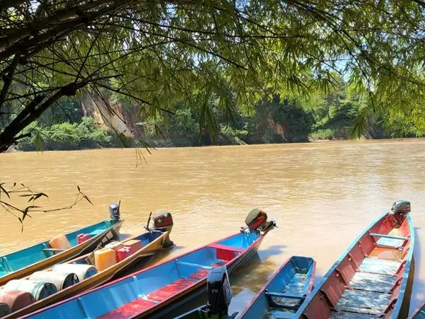 canoes
