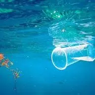 Cylindrical object floating in a blue sea alongside seaweed