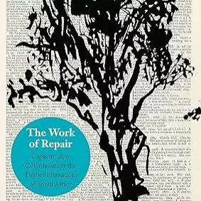Cover of book showing outline of tree overlaying text