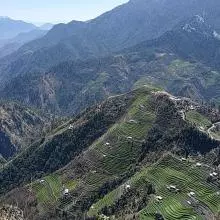 Terraced fields in Baitadi (K.P. Adhikari, 2020)