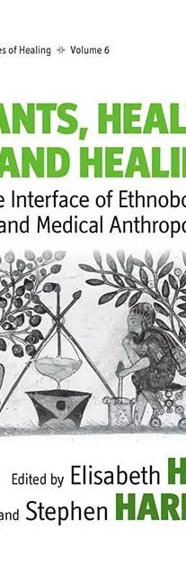 Book cover showing a pencil drawing of an ancient garden with urns