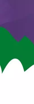 purple, green and white graphic