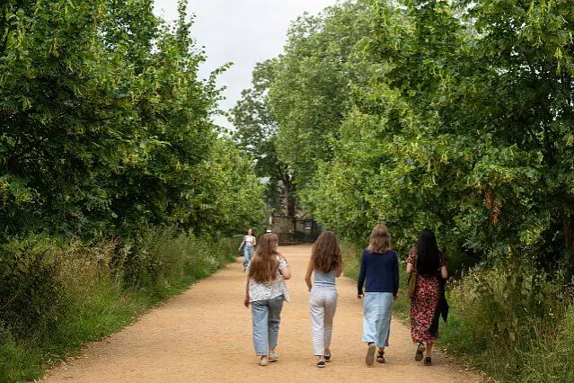 four people strolling down a leafy path - away from the viewer