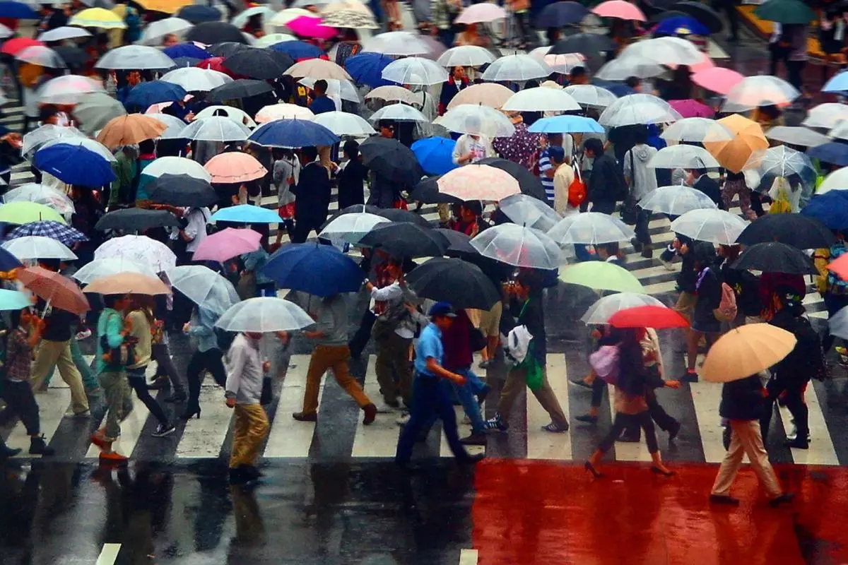 A very busy pedestrian crossing with most people carrying colourful umbrellas